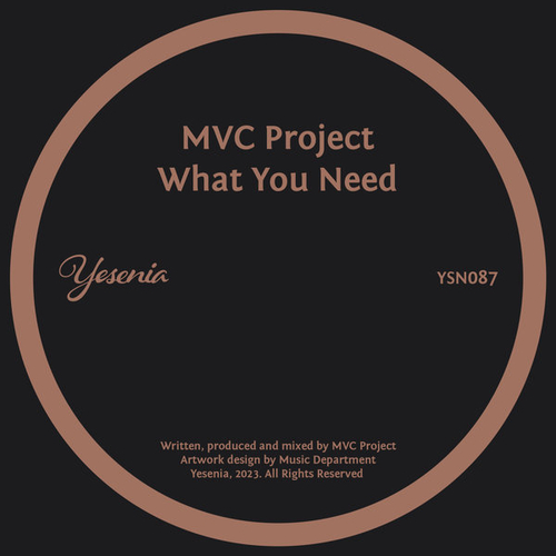 MVC Project - What You Need (Disco Gospel Mix) [YSN087]